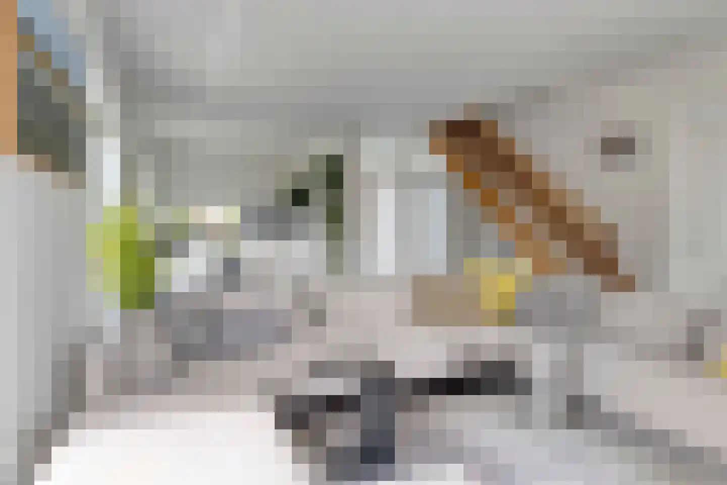 Haringvliet 31 Hoofddorp thumbnail 12