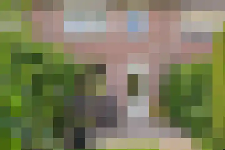Haringvliet 32 Terneuzen thumbnail 29