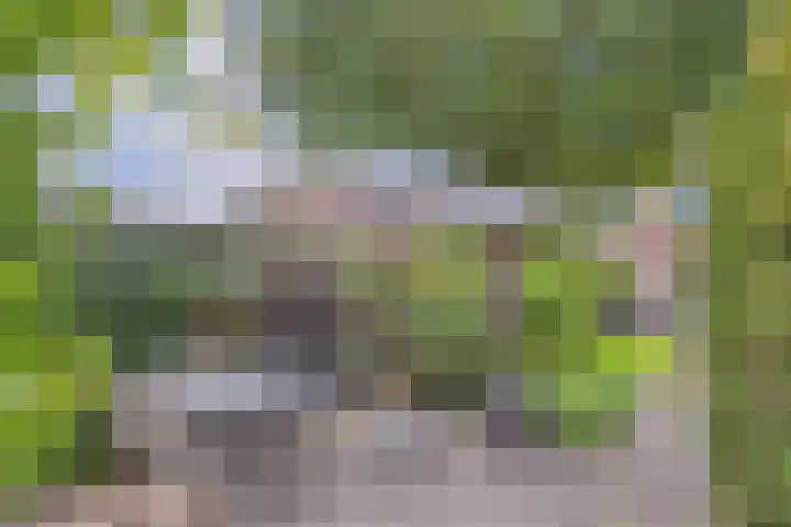 Haringvliet 32 Terneuzen thumbnail 31