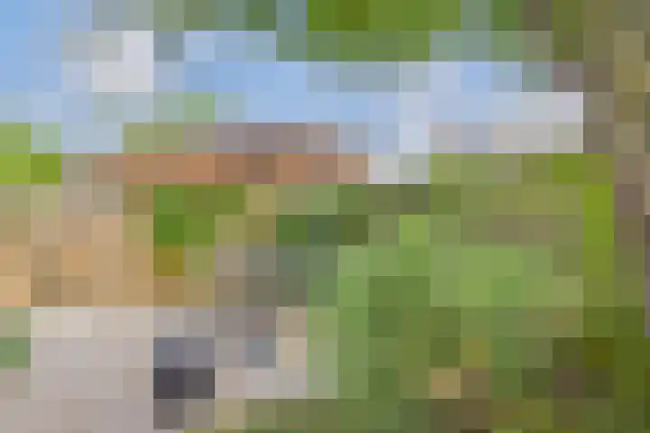 Haringvliet 32 Terneuzen thumbnail 32