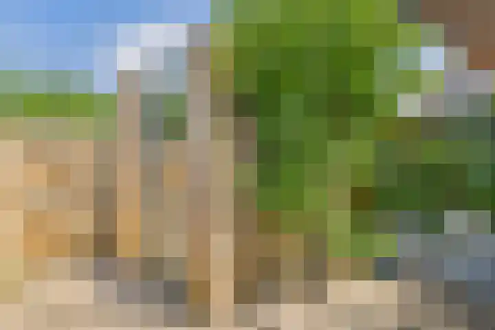 Haringvliet 32 Terneuzen thumbnail 33