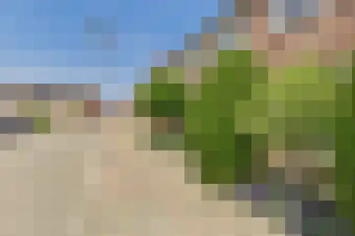 Haringvliet 32 Terneuzen thumbnail 35