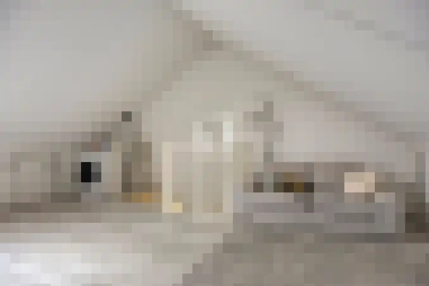 Haringvliet 33 Eindhoven thumbnail 32