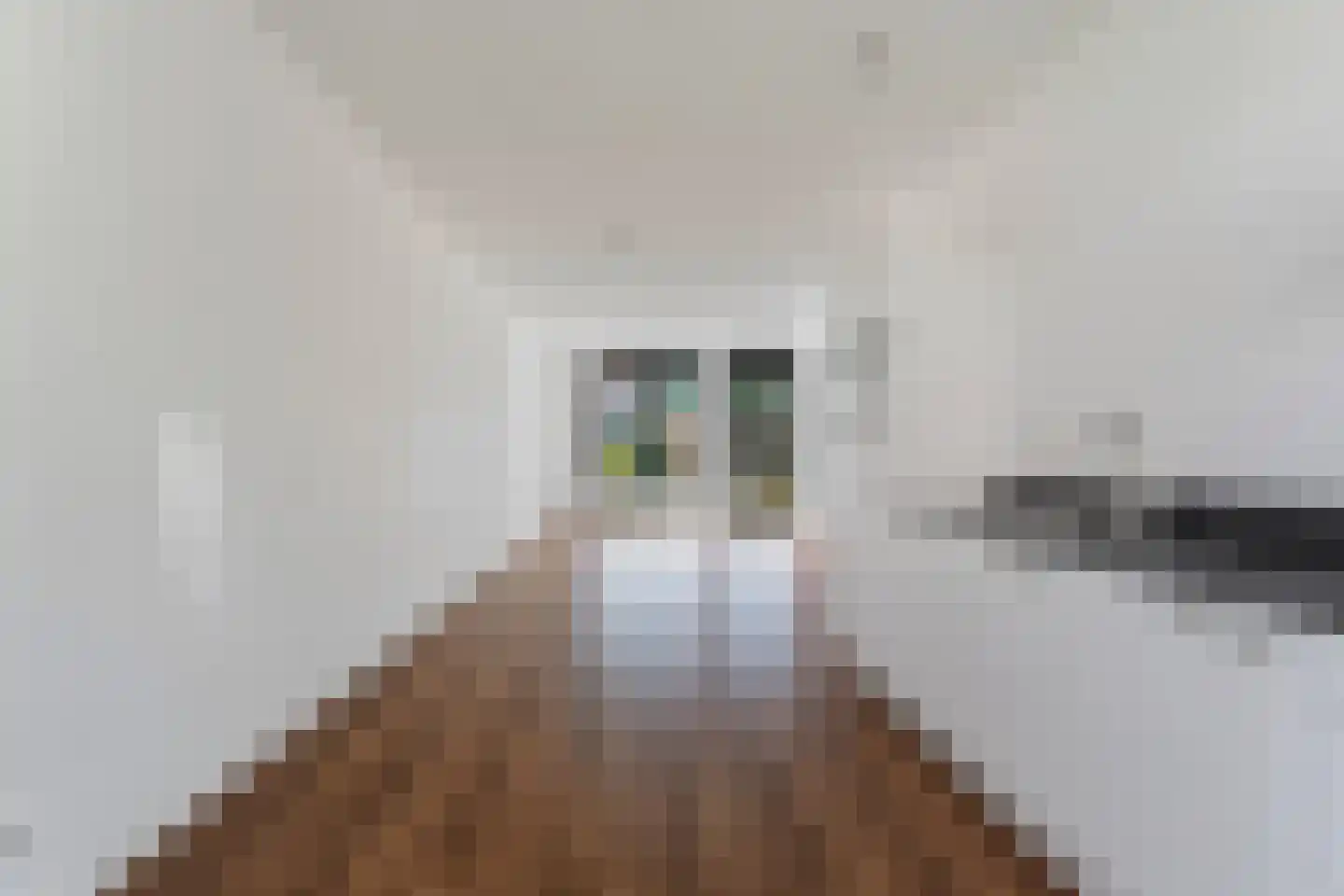 Haringvliet 34 Arnhem thumbnail 9