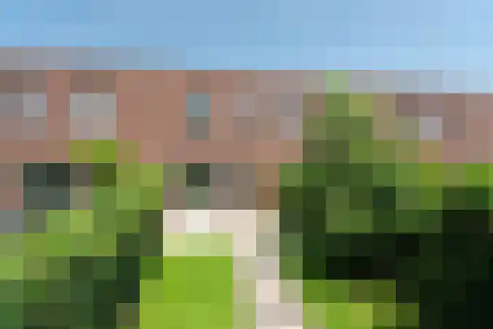 Haringvliet 38 Arnhem thumbnail 30