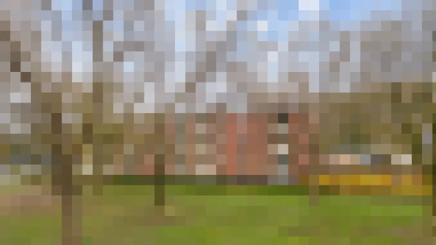 Haringvliet 41 Apeldoorn thumbnail 39