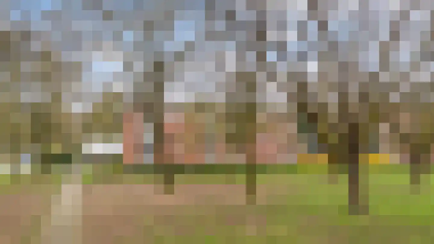 Haringvliet 41 Apeldoorn thumbnail 40