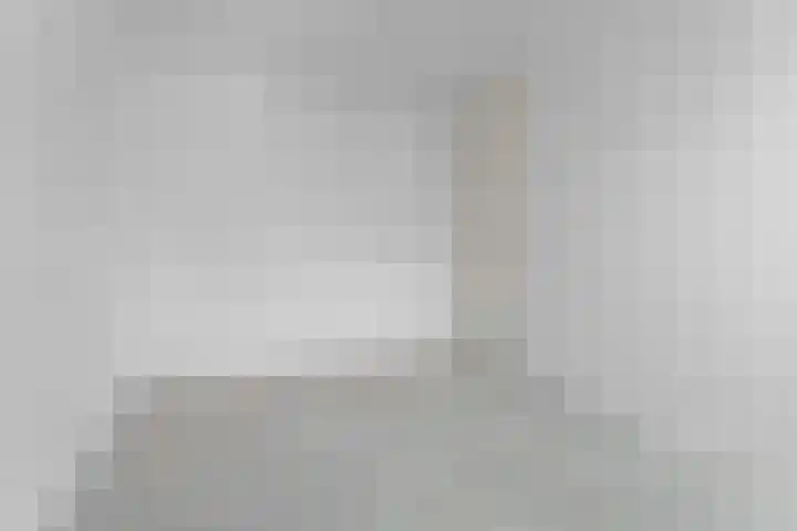 Haringvliet 54 Arnhem thumbnail 17