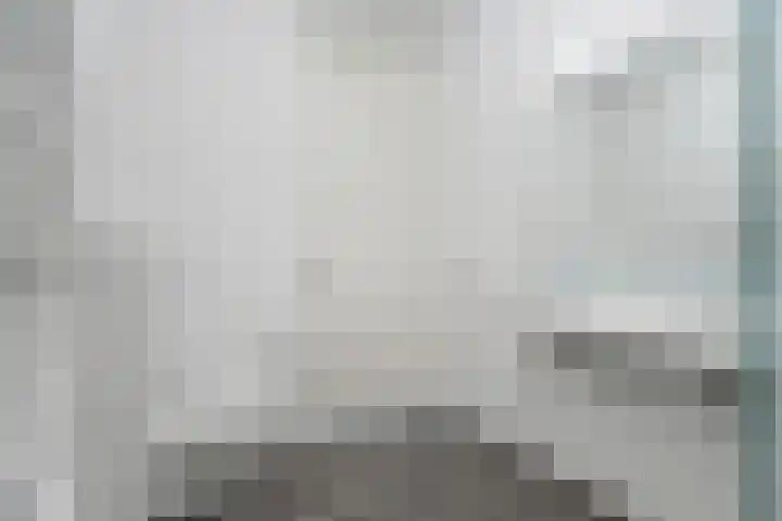 Haringvliet 54 Arnhem thumbnail 19