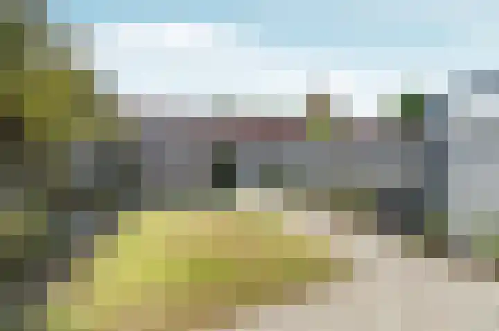 Haringvliet 54 Arnhem thumbnail 24