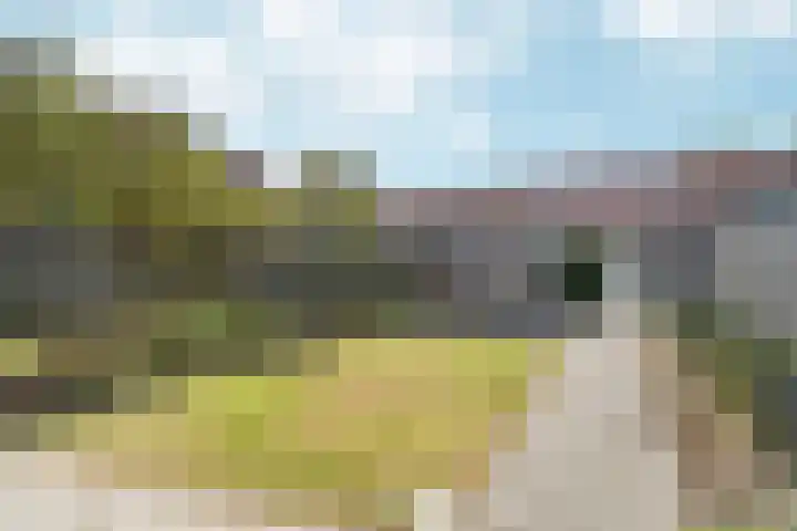 Haringvliet 54 Arnhem thumbnail 25