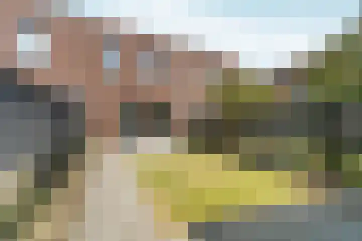 Haringvliet 54 Arnhem thumbnail 4