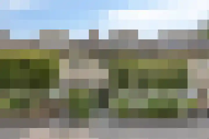 Haringvliet 6 in Eindhoven