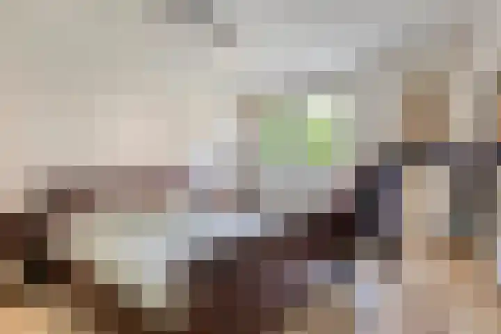 Haringvliet 6 Eindhoven thumbnail 14