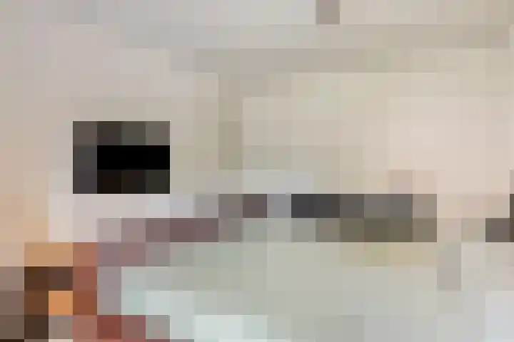 Haringvliet 6 Eindhoven thumbnail 15