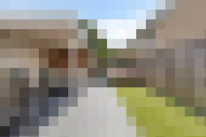 Haringvliet 6 Eindhoven thumbnail 25