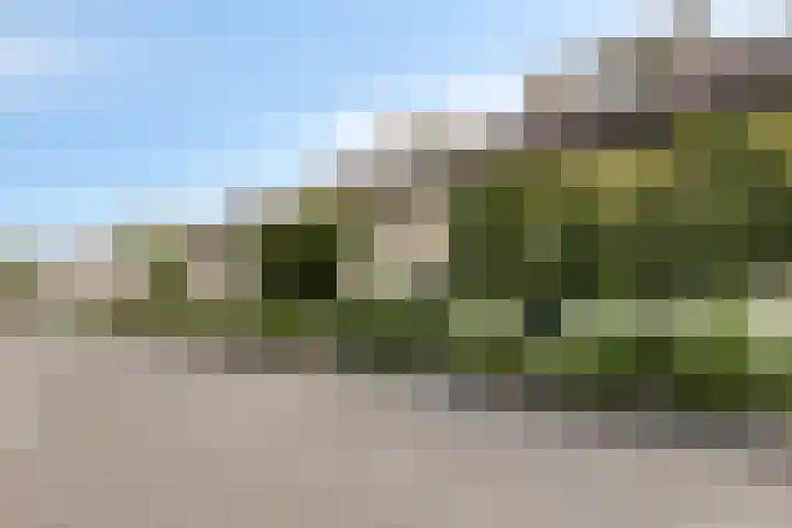 Haringvliet 6 Eindhoven thumbnail 28