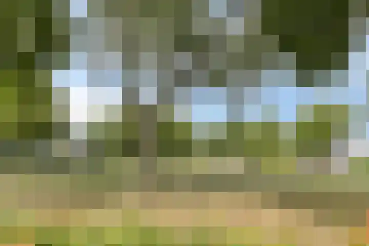 Haringvliet 6 Eindhoven thumbnail 29