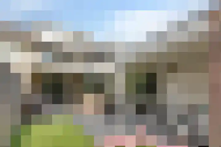 Haringvliet 6 Eindhoven thumbnail 4