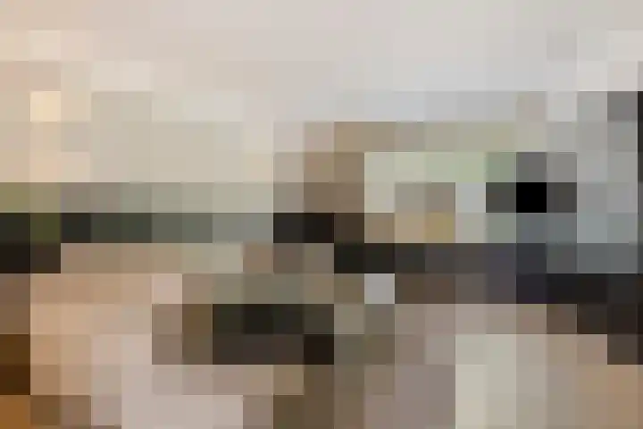 Haringvliet 6 Eindhoven thumbnail 6