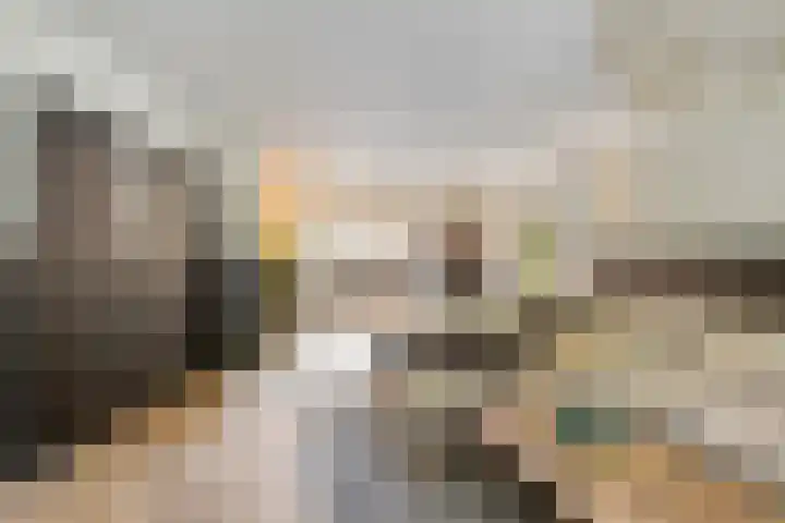 Haringvliet 6 Eindhoven thumbnail 7