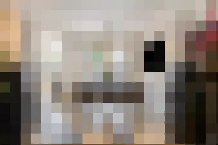 Haringvliet 6 Eindhoven thumbnail 8