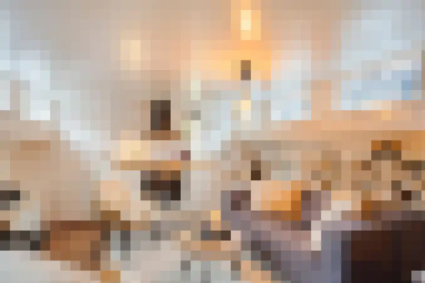 Haringvliet 68 Rotterdam thumbnail 4