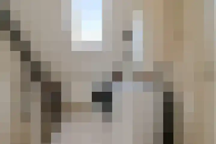 Haringvliet 86 Alphen aan den Rijn thumbnail 36