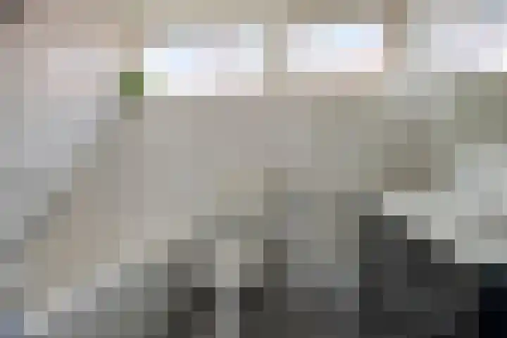 Haringvliet 9 Alphen aan den Rijn thumbnail 14