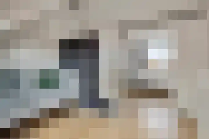 Haringvliet 9 Alphen aan den Rijn thumbnail 23
