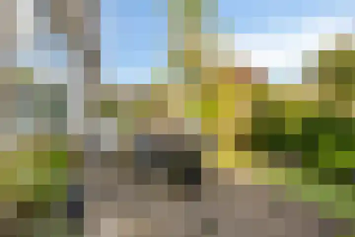 Haringvliet 9 Alphen aan den Rijn thumbnail 24