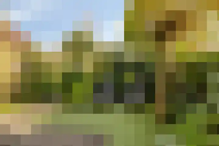 Haringvliet 9 Alphen aan den Rijn thumbnail 25