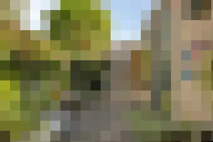 Haringvliet 9 Alphen aan den Rijn thumbnail 26
