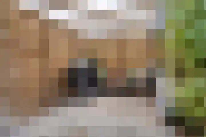 Haringvliet 9 Alphen aan den Rijn thumbnail 27