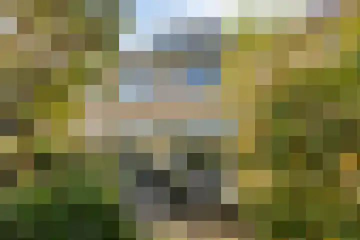Haringvliet 9 Alphen aan den Rijn thumbnail 29