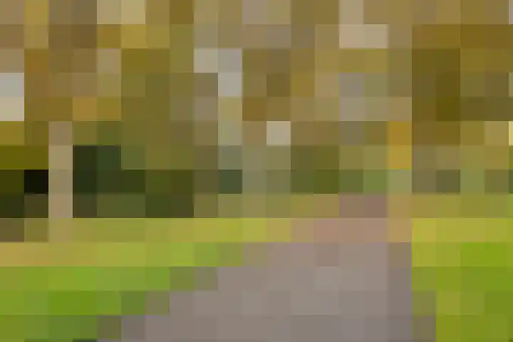 Haringvliet 9 Alphen aan den Rijn thumbnail 31