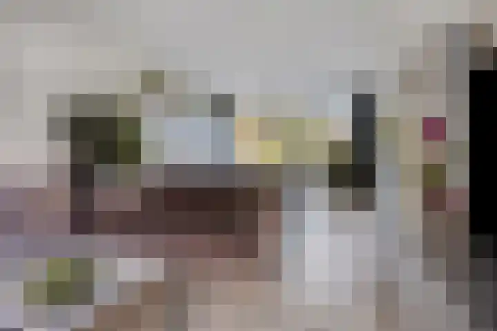 Haringvliet 9 Alphen aan den Rijn thumbnail 4