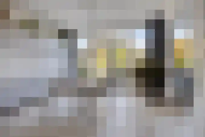 Haringvliet 9 Alphen aan den Rijn thumbnail 5