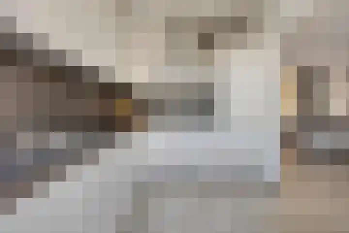 Haringvliet 9 Alphen aan den Rijn thumbnail 8