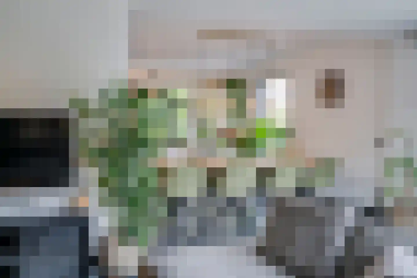 Haringvliet 9 Deurne thumbnail 22