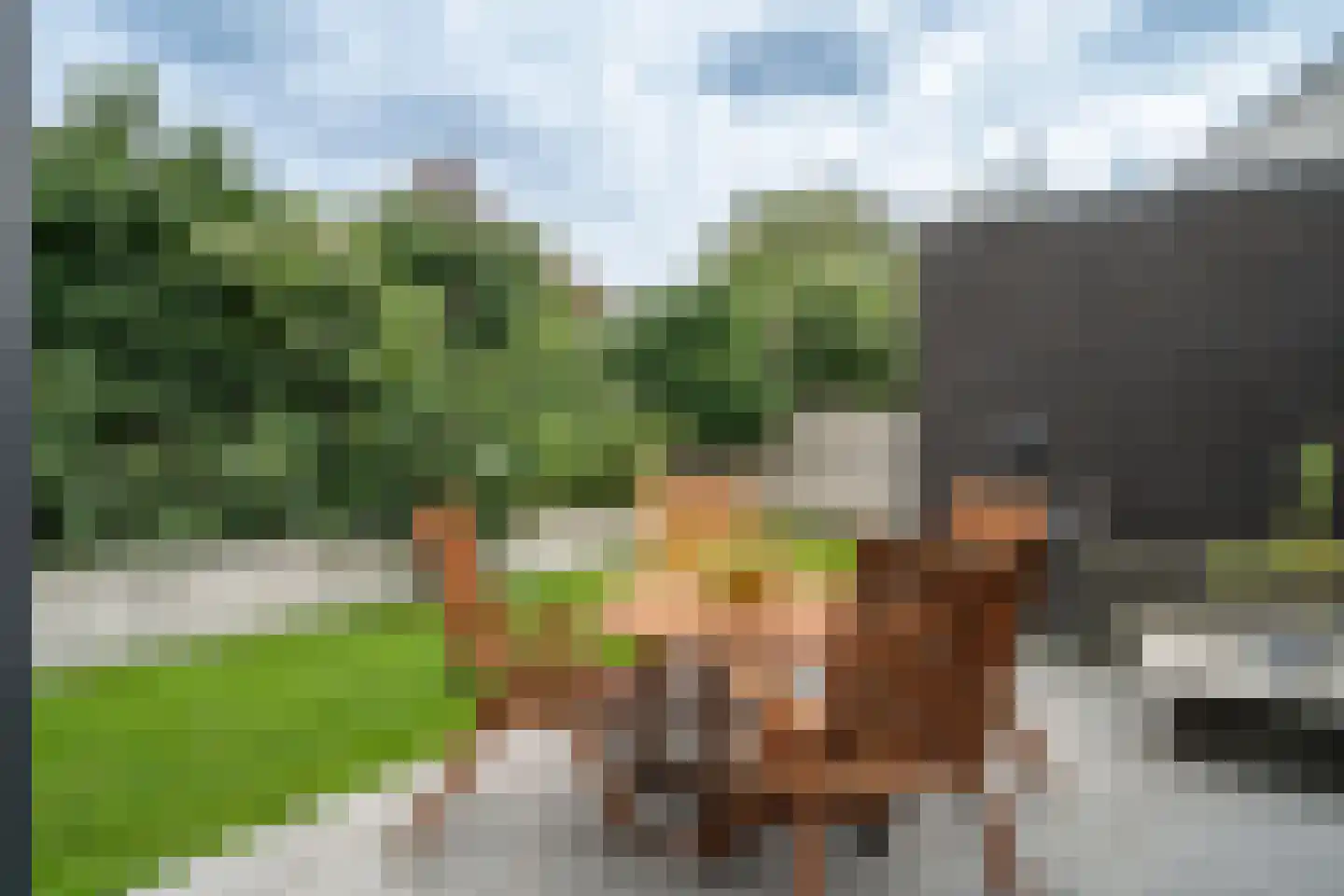 Haringvliet 9 Deurne thumbnail 23