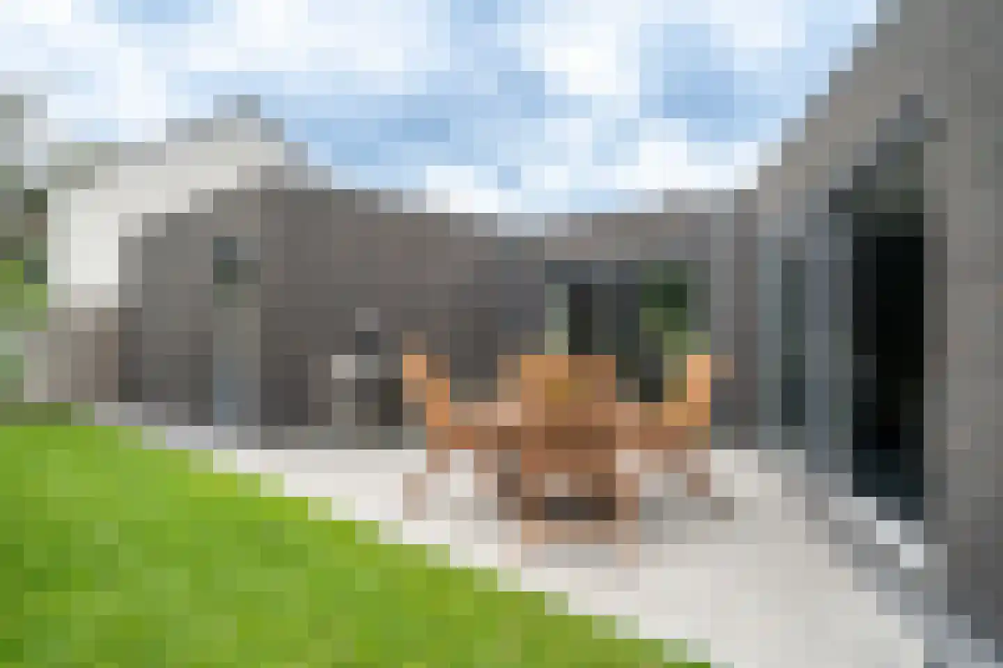 Haringvliet 9 Deurne thumbnail 25