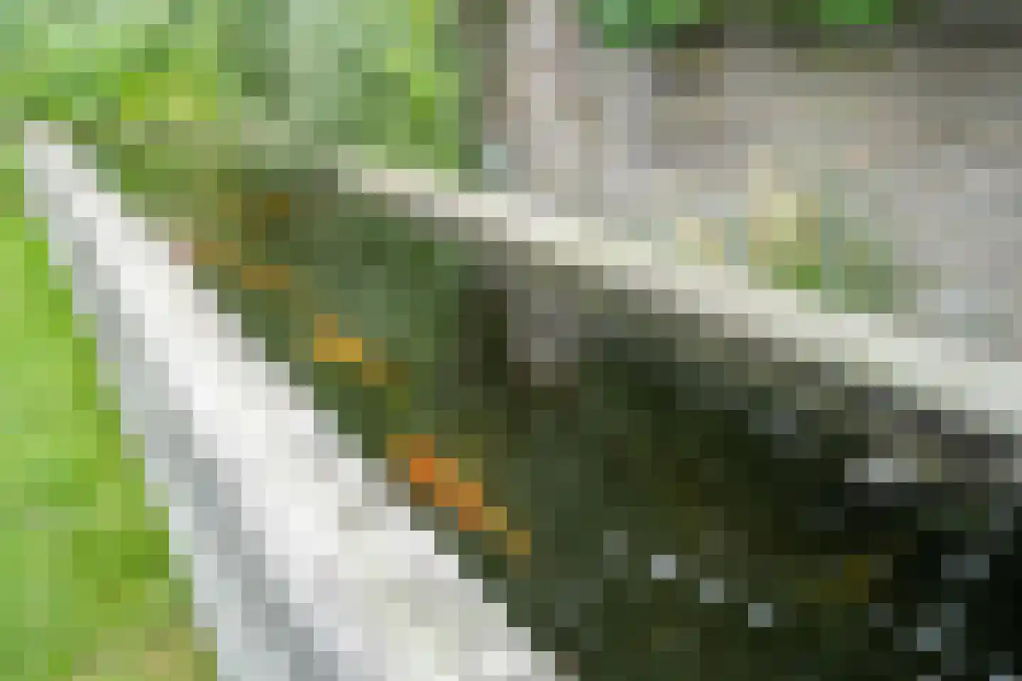 Haringvliet 9 Deurne thumbnail 31