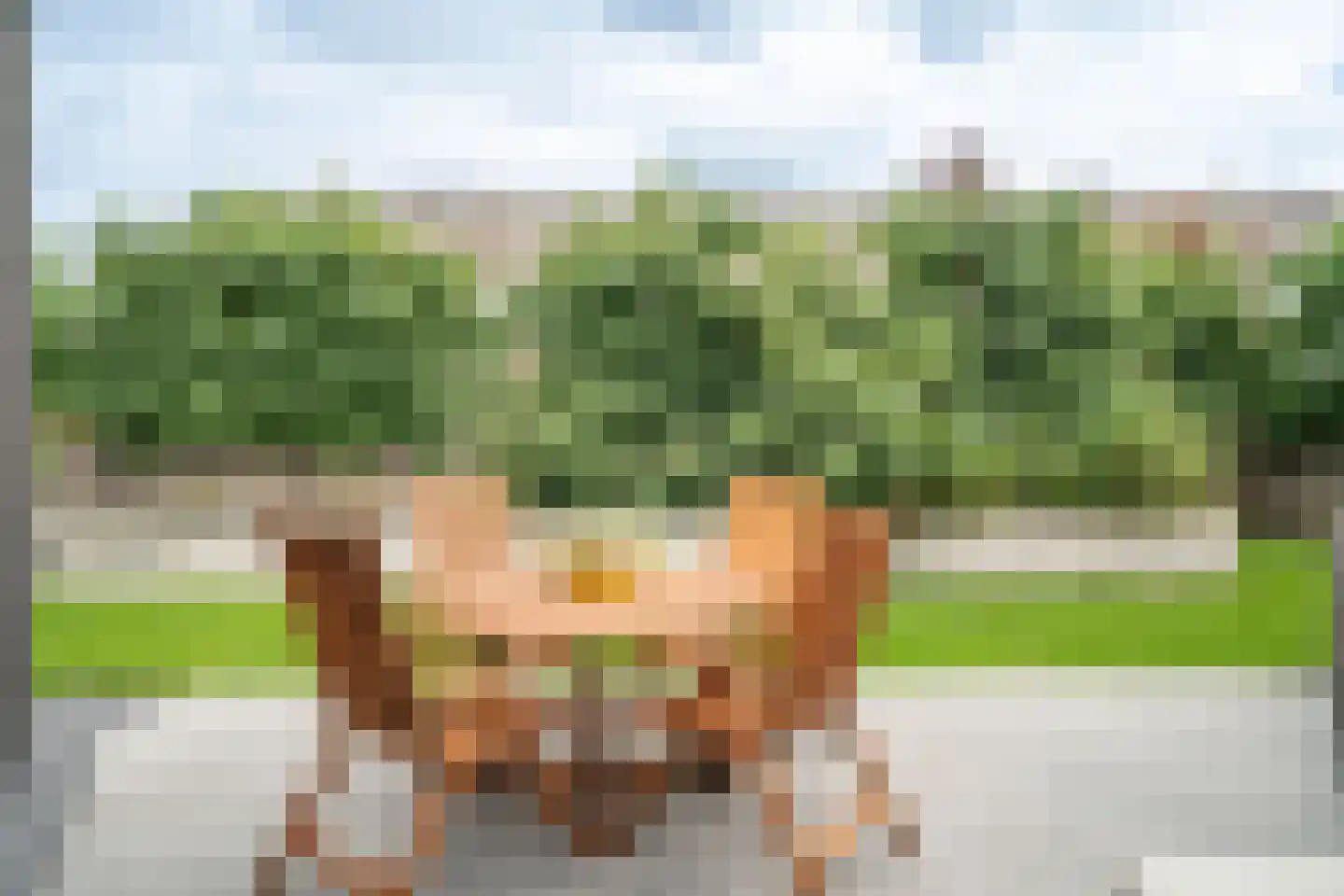 Haringvliet 9 Deurne thumbnail 36