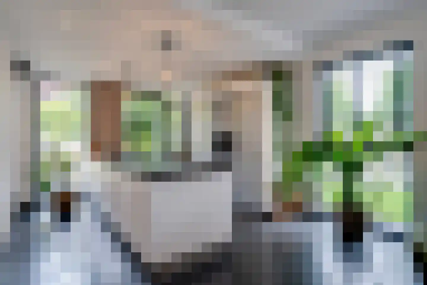 Haringvliet 9 Deurne thumbnail 6