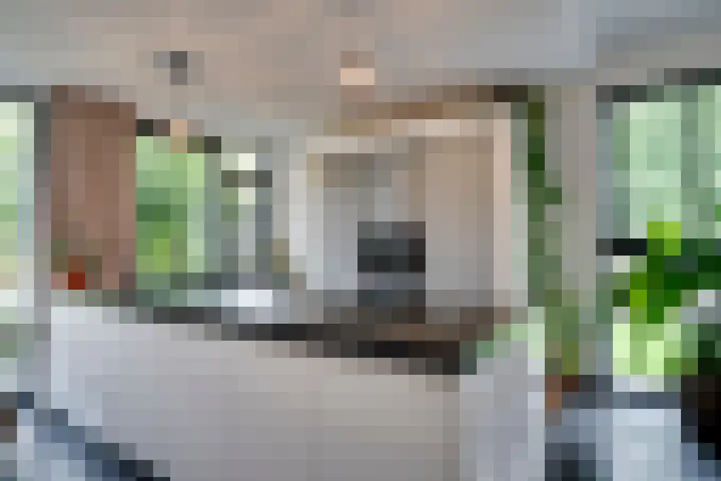 Haringvliet 9 Deurne thumbnail 7