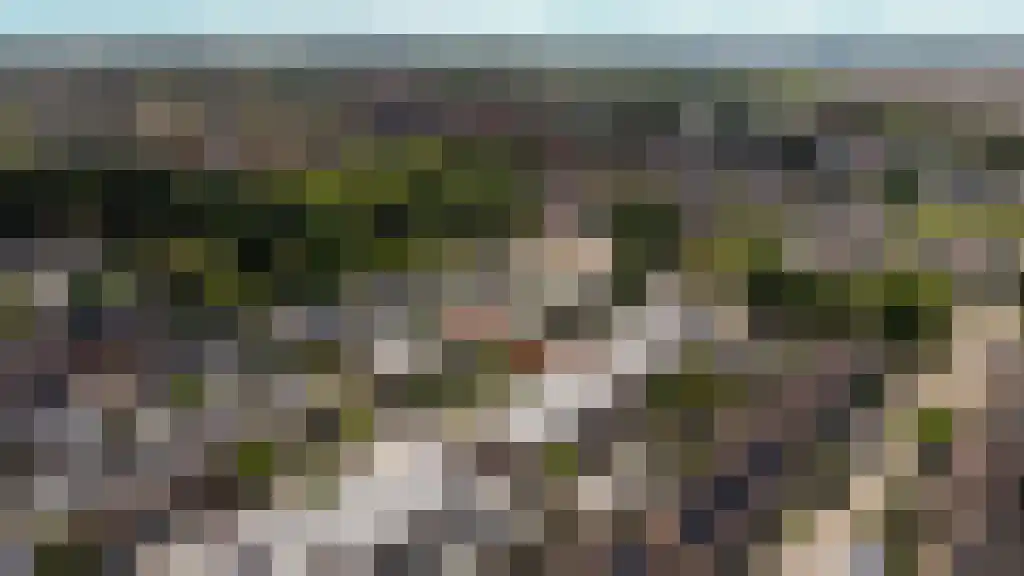 Haringvlietlaan 26 Lelystad thumbnail 5