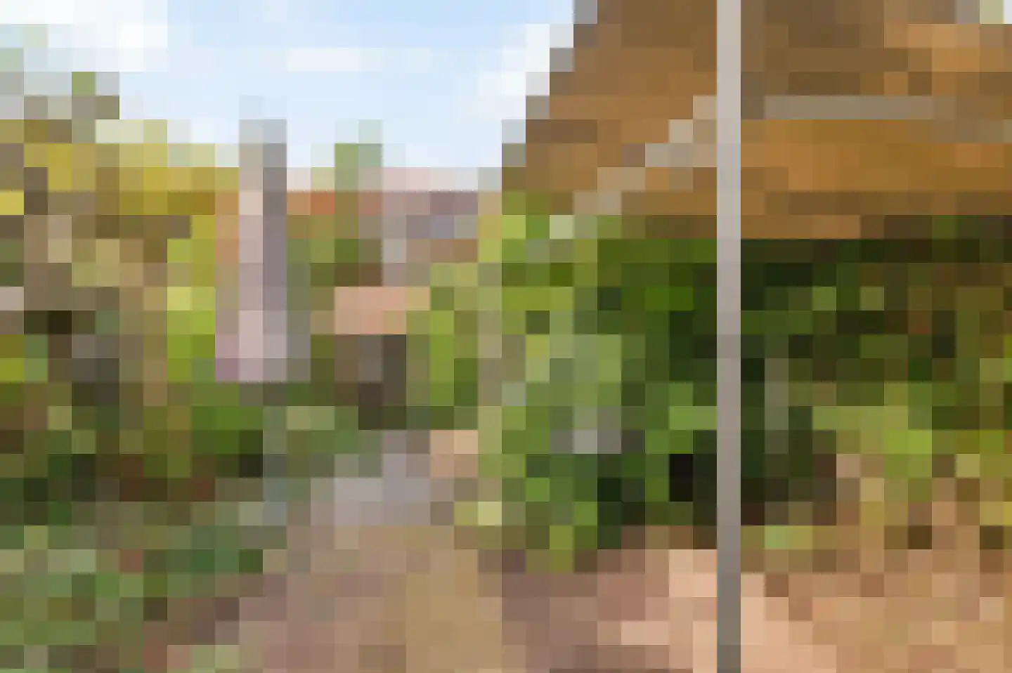 Haringvlietplantsoen 13 Heemstede thumbnail 13