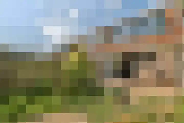 Haringvlietplantsoen 4 Heemstede thumbnail 18