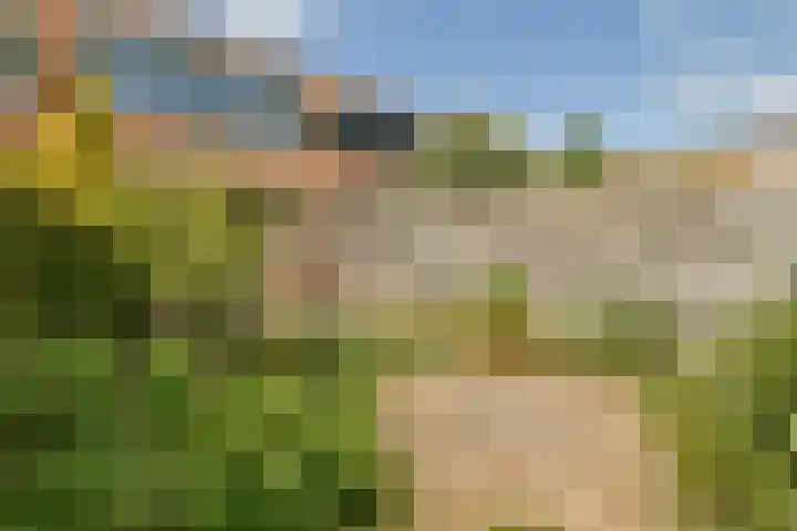 Haringvlietplantsoen 4 Heemstede thumbnail 19